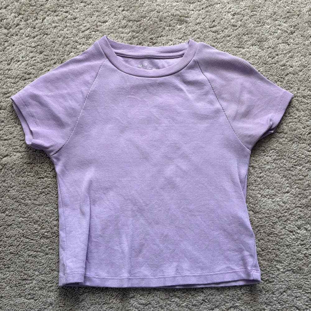 aerie Lilac Ribbed Crop Tee